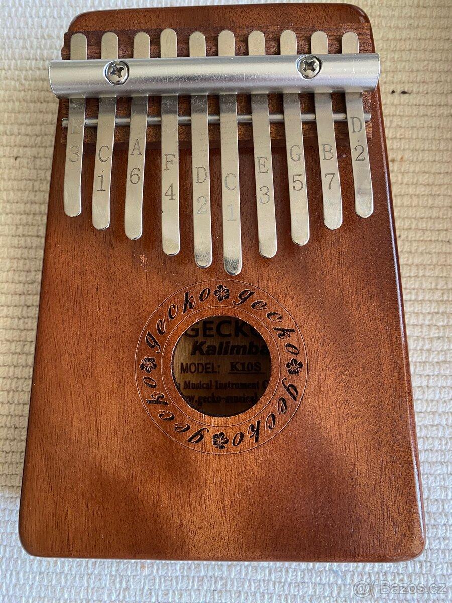 Kalimba Gecko
