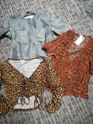 Set halenky