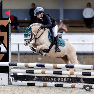Výjimečný sportovní pony S