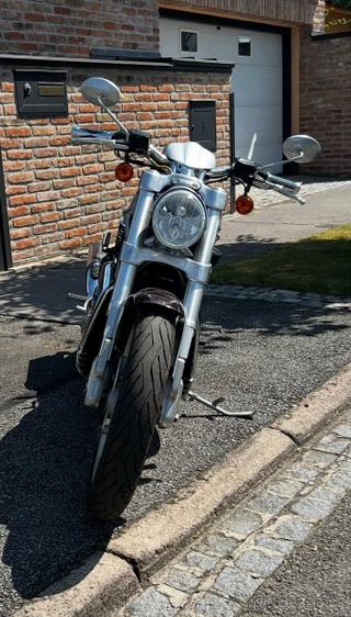 Harley - Davidson, Street Rod ( VR2 ) VRSCR ( dvoubarva ).