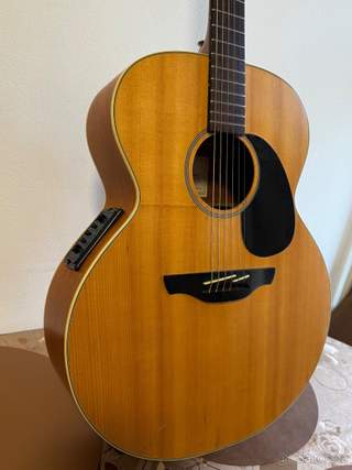 elektroakustickou kytaru Takamine EG520S G Series