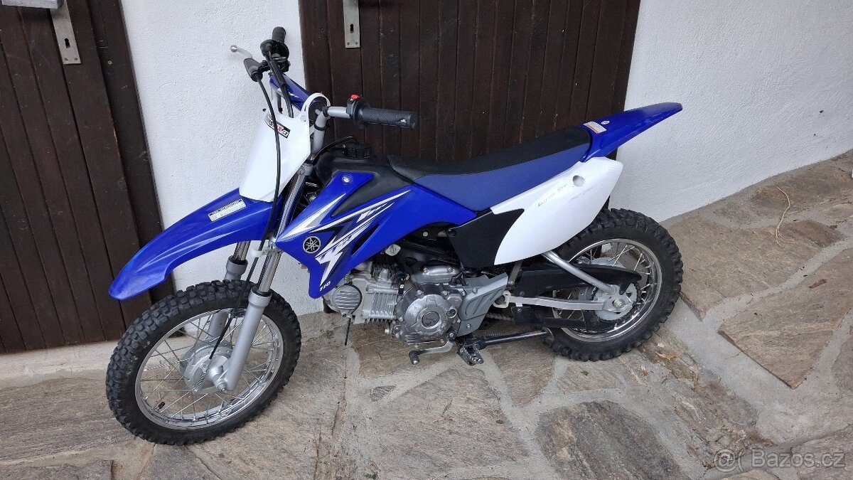 Yamaha TTR 110