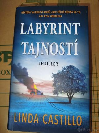 Labyrint tajností - Linda Castillo