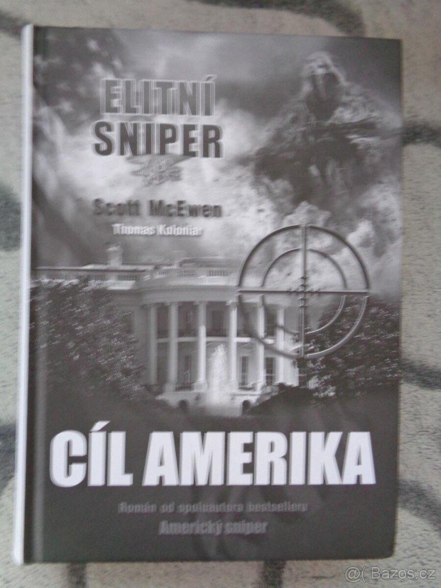 Kniha - Cíl Amerika