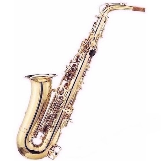 Nový alt saxofon Startone - celý set
