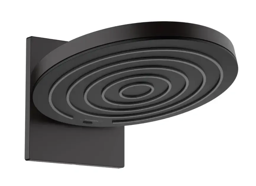 Hlavová sprcha Hansgrohe Pulsify 24150670, 2 polohy