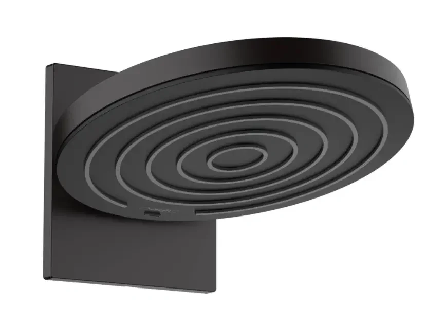 Hlavová sprcha Hansgrohe Pulsify 24150670, 2 polohy