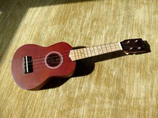 Sopránové ukulele + obal