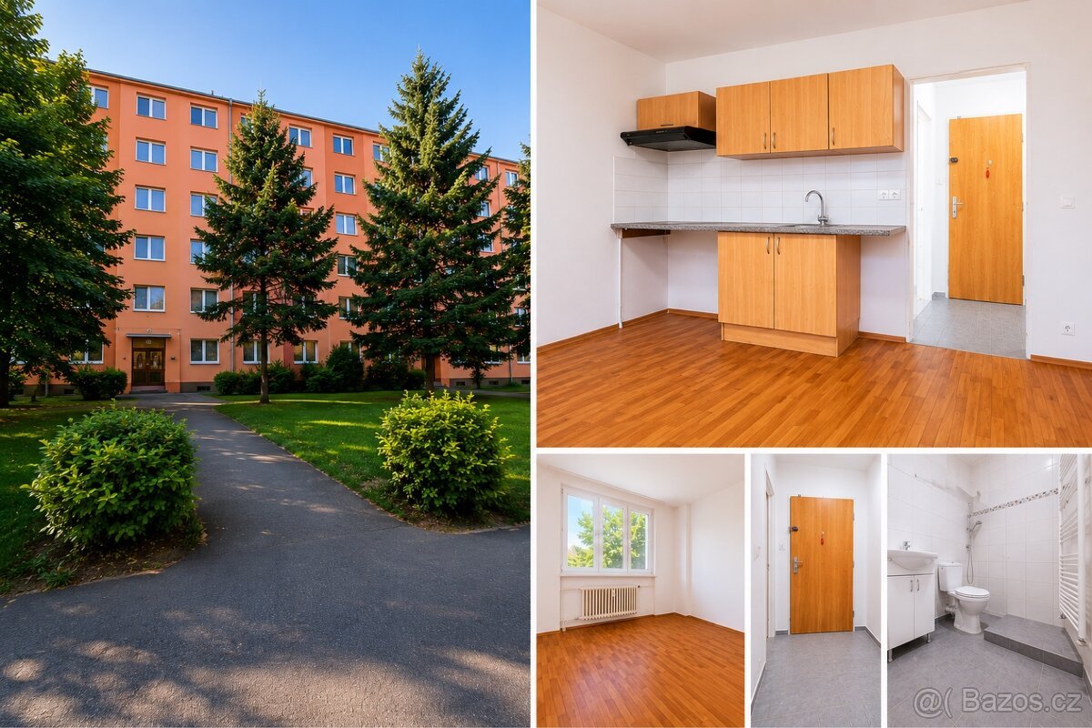 Prodám byt 1+kk, 20 m², Plzeň – Bory, u OC Luna