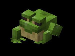 Minexraft žába
