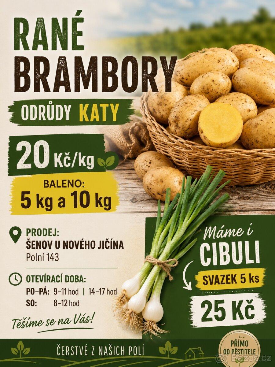 Rané brambory Katy – 20 Kč/kg